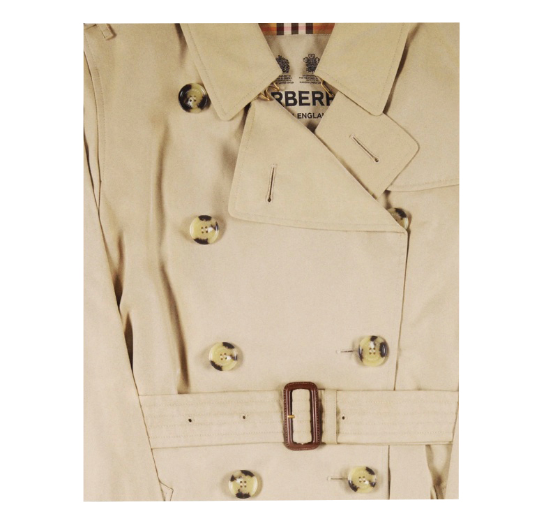 BURBERRY - ALEXANDER FURY