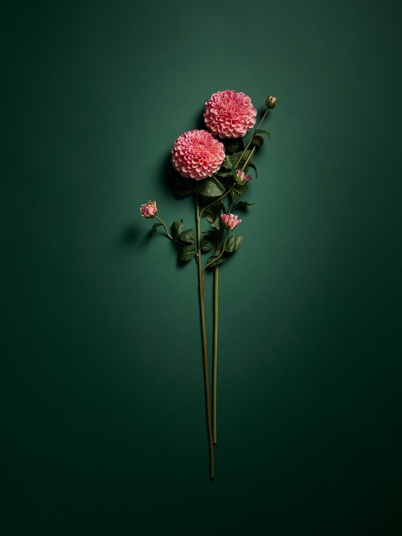 Blooming Good.