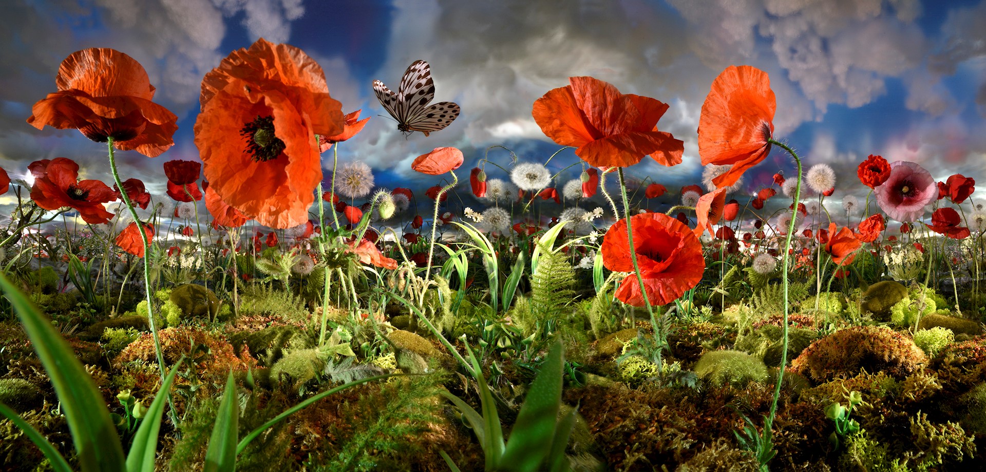 Nu te zien: Nederlandse kunstenaars brengen verre oorden naar je toe 