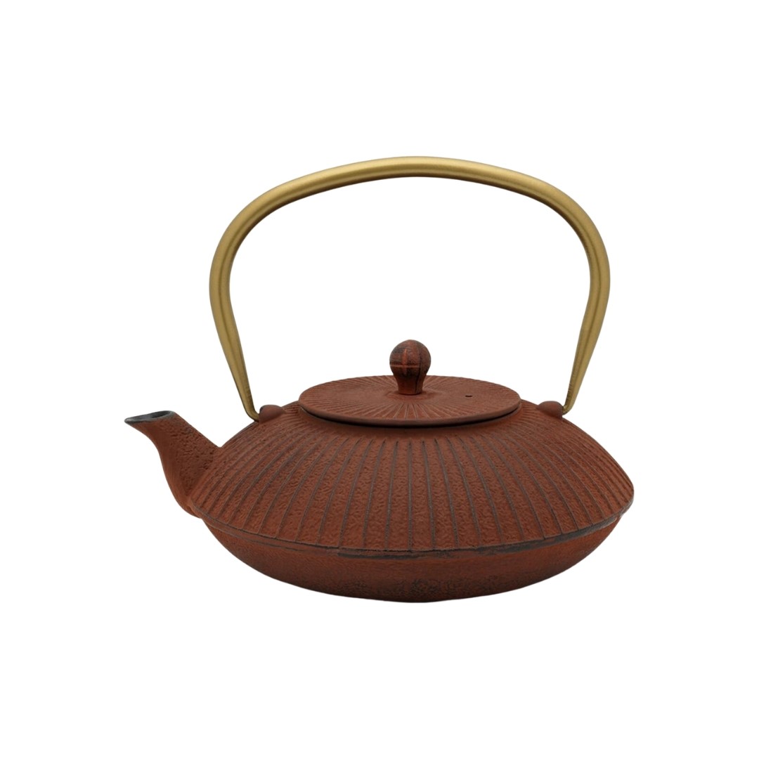Ronde gietijzeren theepot in roestbruine kleur met fijne verticale ribbelstructuur, voorzien van een goudkleurig metalen hengsel en een korte schenktuit, afgebeeld tegen een lichte achtergrond.