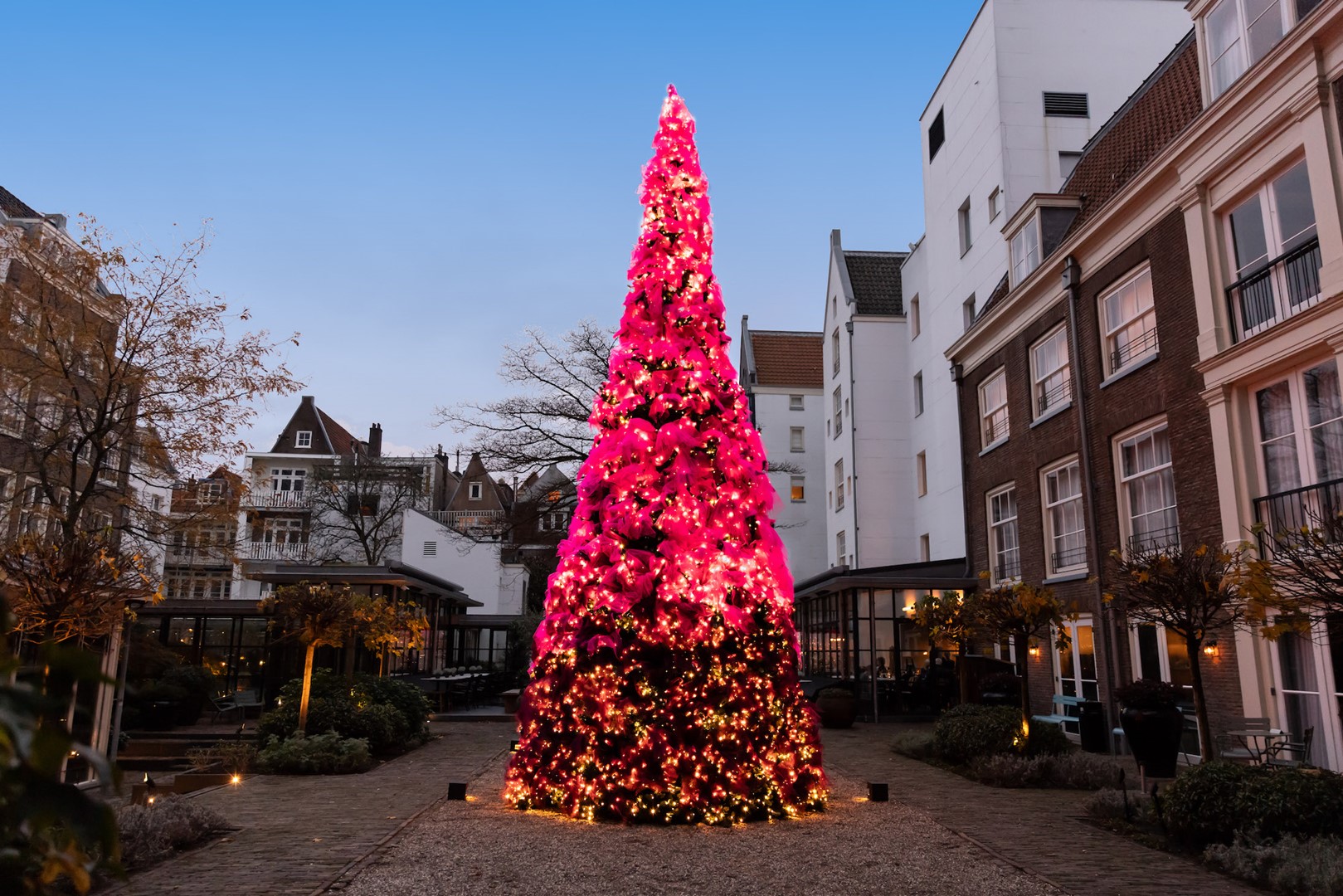 Fotografie: Ashkan Mortezapour Photography