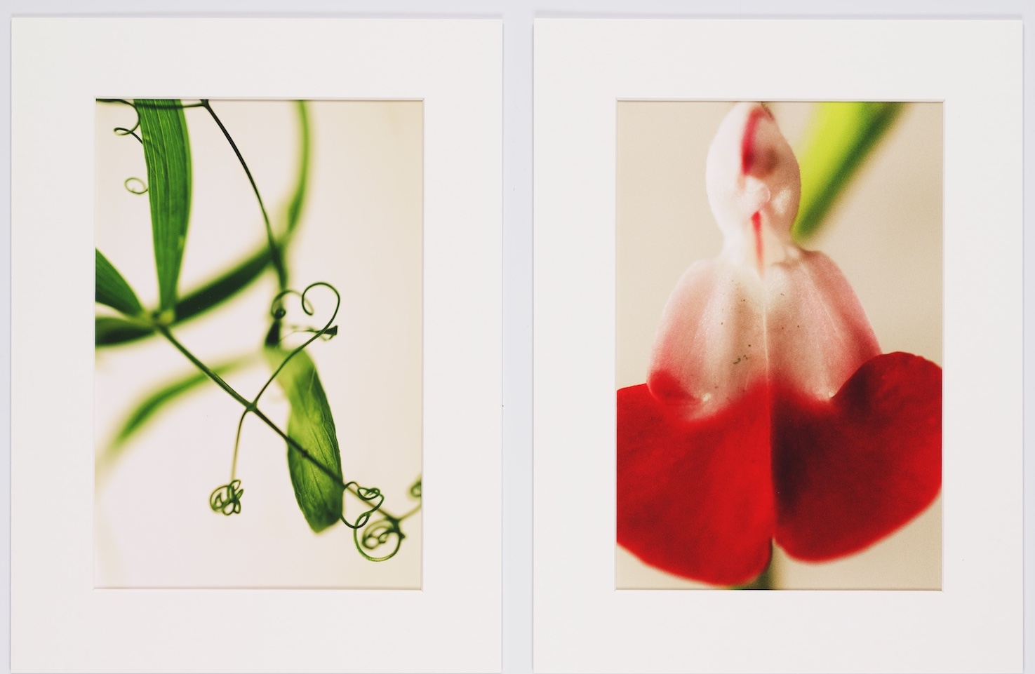 Nu cadeau bij 10x Residence: exclusieve foto van Isabelle Kettner t.w.v. € 75