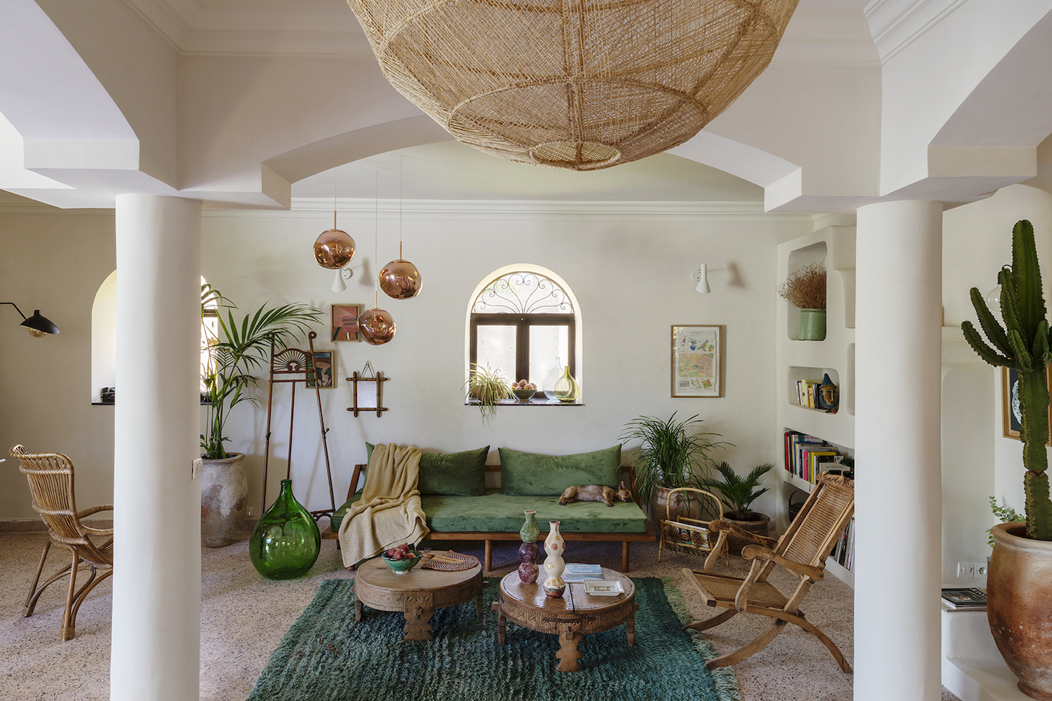 Tips om kamerplanten in leven te houden 