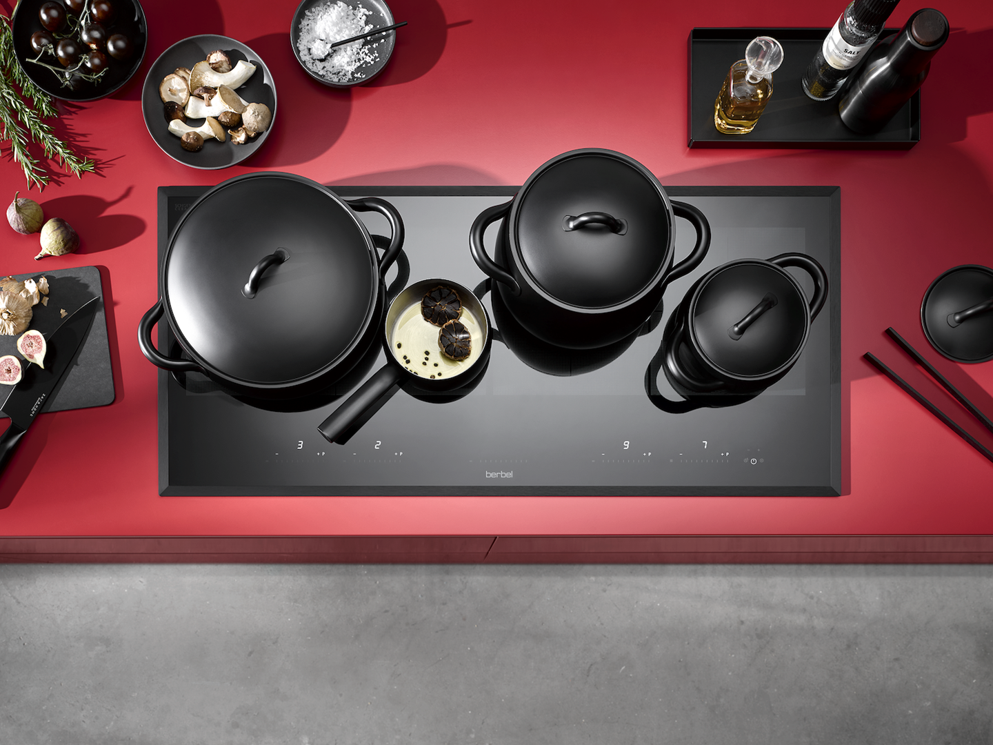 De nieuwe panoramakookplaat van berbel. 