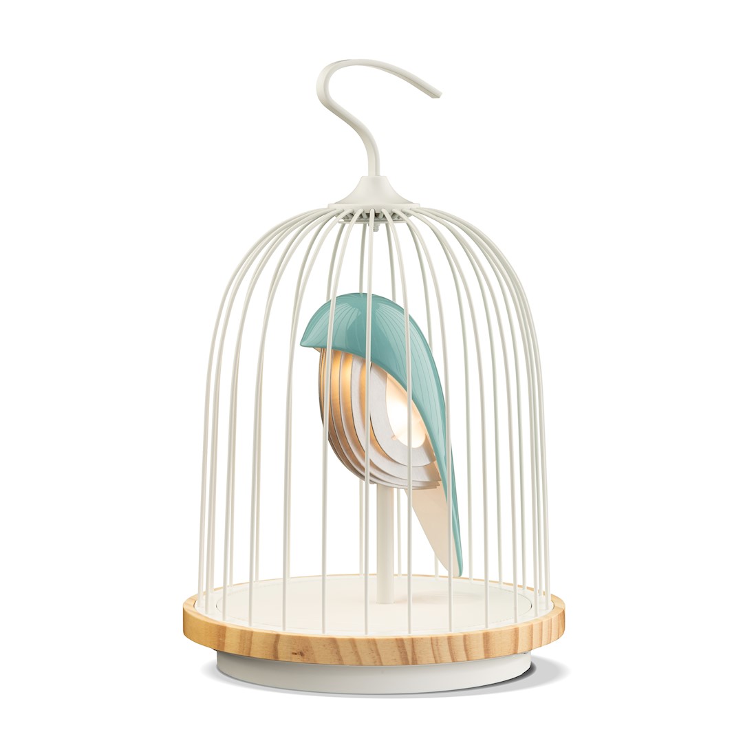 Acht keer de regenboog in je huis