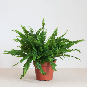 YUMEKO – DUURZAME HANDDOEKEN