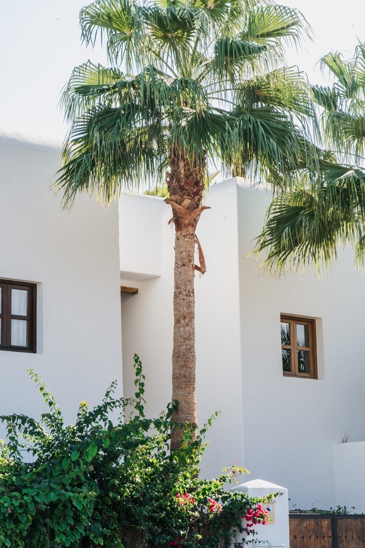 Fotografie: Carole Martinod.