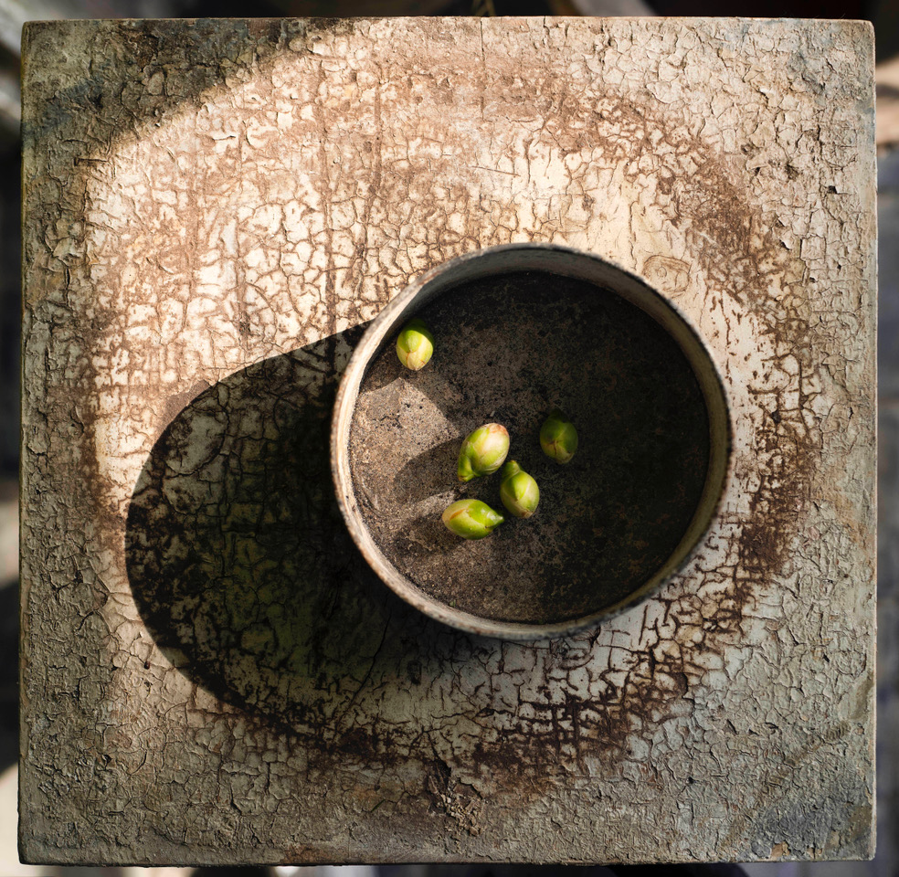 Fruits of labor, print op barietpapier door Isabelle Kettner. 