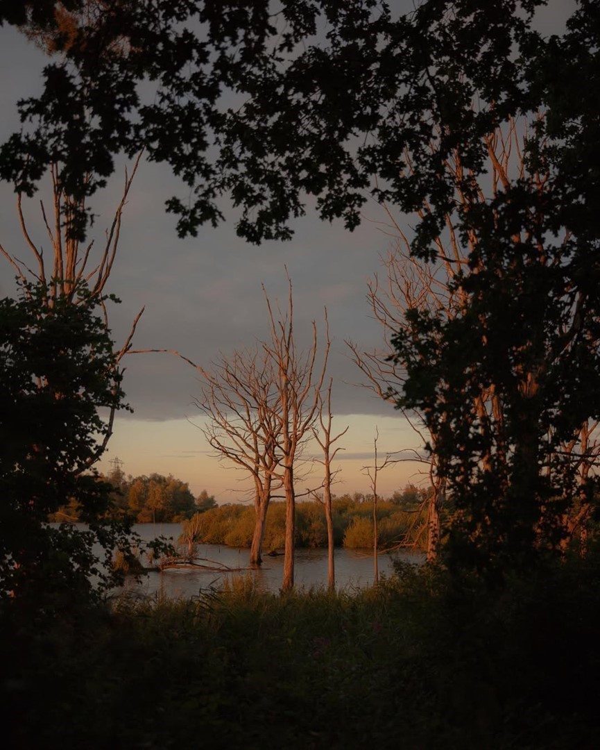Cabin ANNA. Fotografie: Pie Aerts.