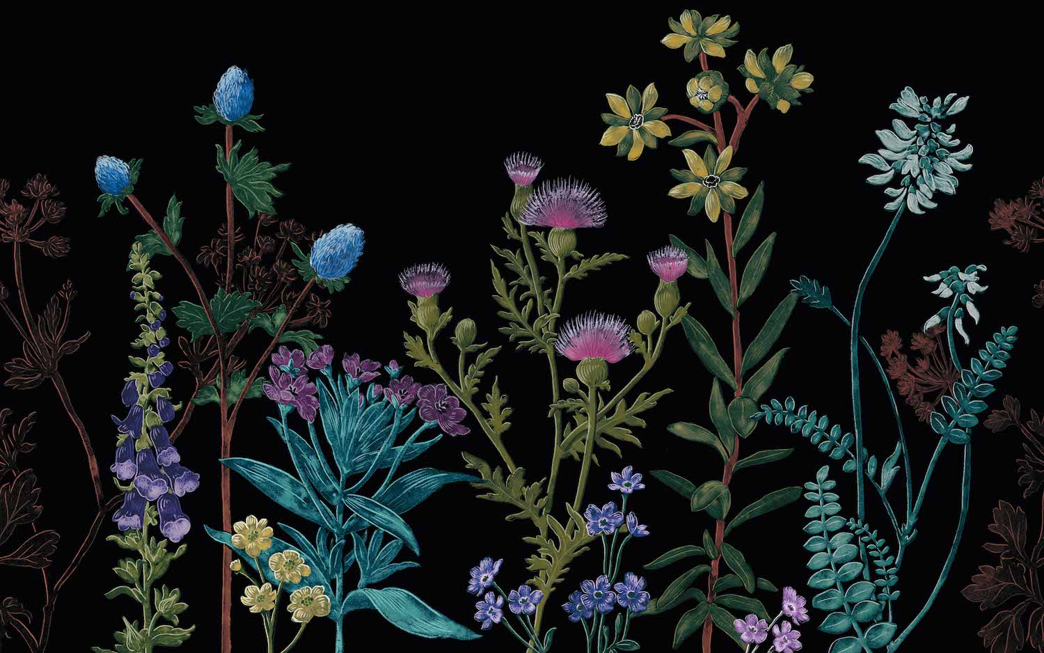 Graham & Brown bloemetjesbehang