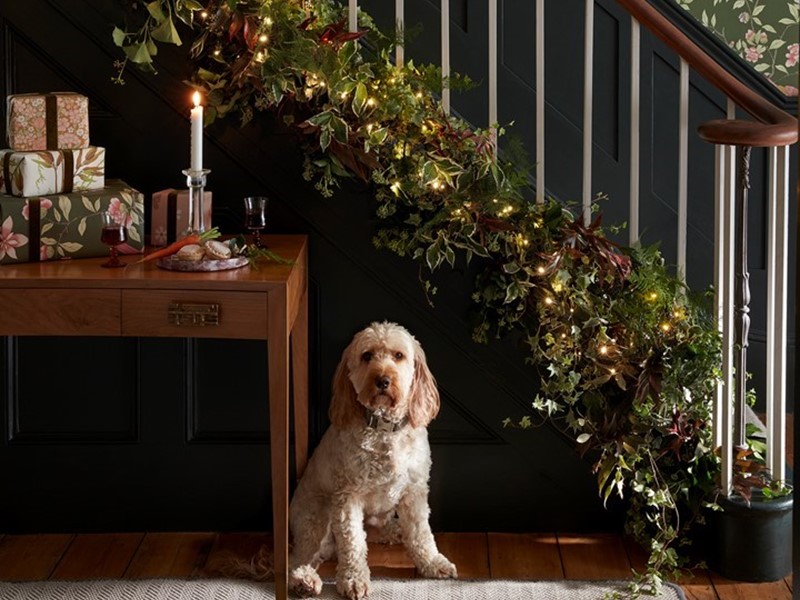 Fotografie: Little Greene.