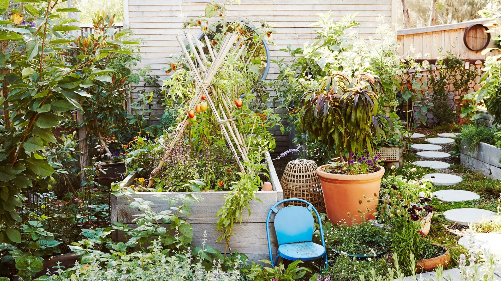 Het is ook mogelijk een moestuin op je dak aan te leggen. Foto moestuin: Annette O’Brien.