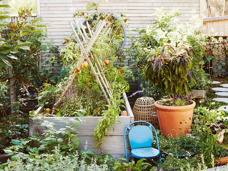 Het is ook mogelijk een moestuin op je dak aan te leggen. Foto moestuin: Annette O’Brien.