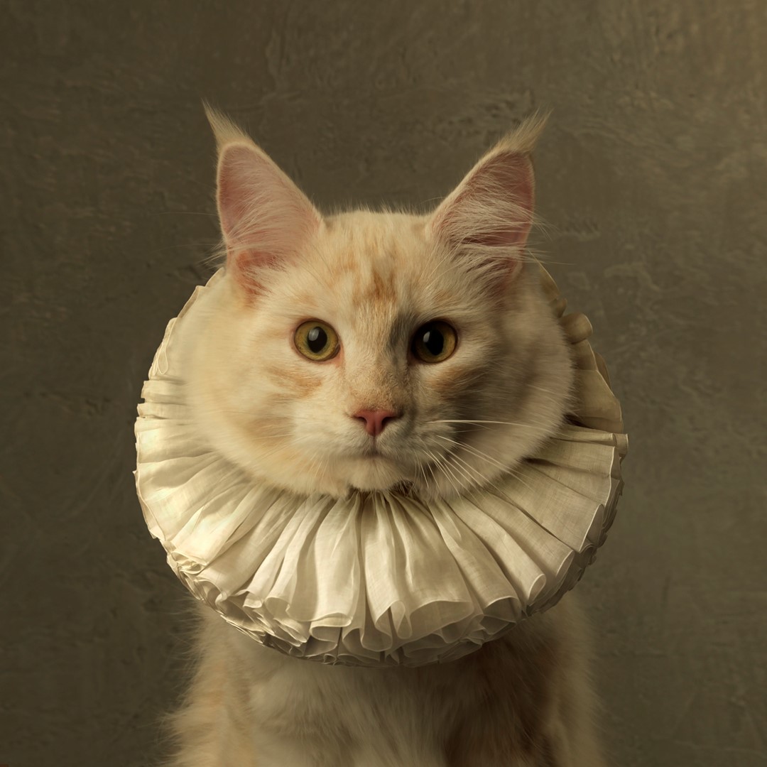 Cat with White Collar VI, 2016. Fotografie: Marie Cécile Thijs