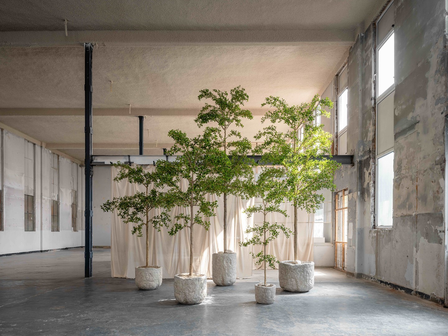 The Limestone Collection