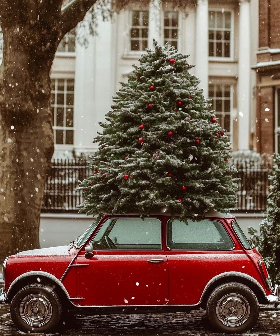 Fotografie: @Winterlover.2024