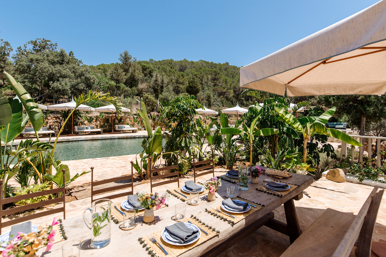 De tuin van Fincadelica brengt je terug naar de zomer.