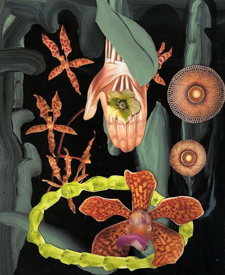 Aletta Bos, 'We Are Nature' voor BIG ART