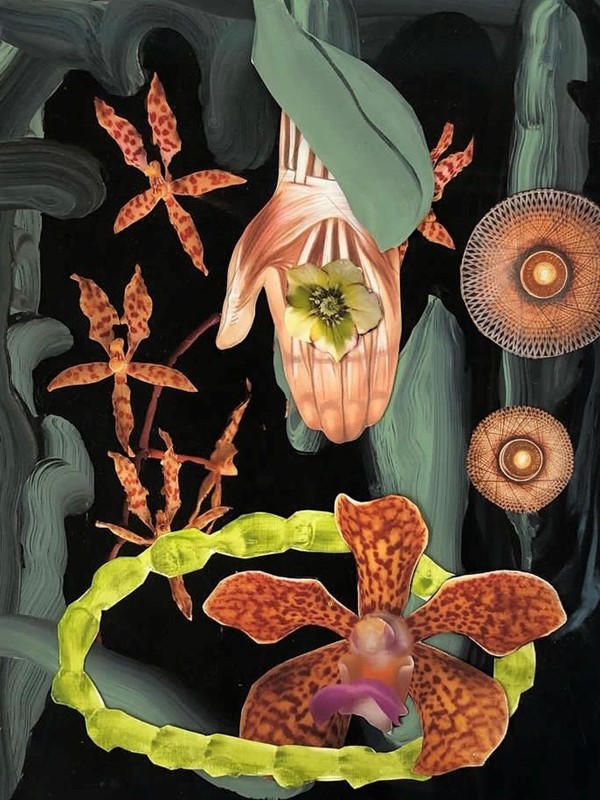 Aletta Bos, 'We Are Nature' voor BIG ART