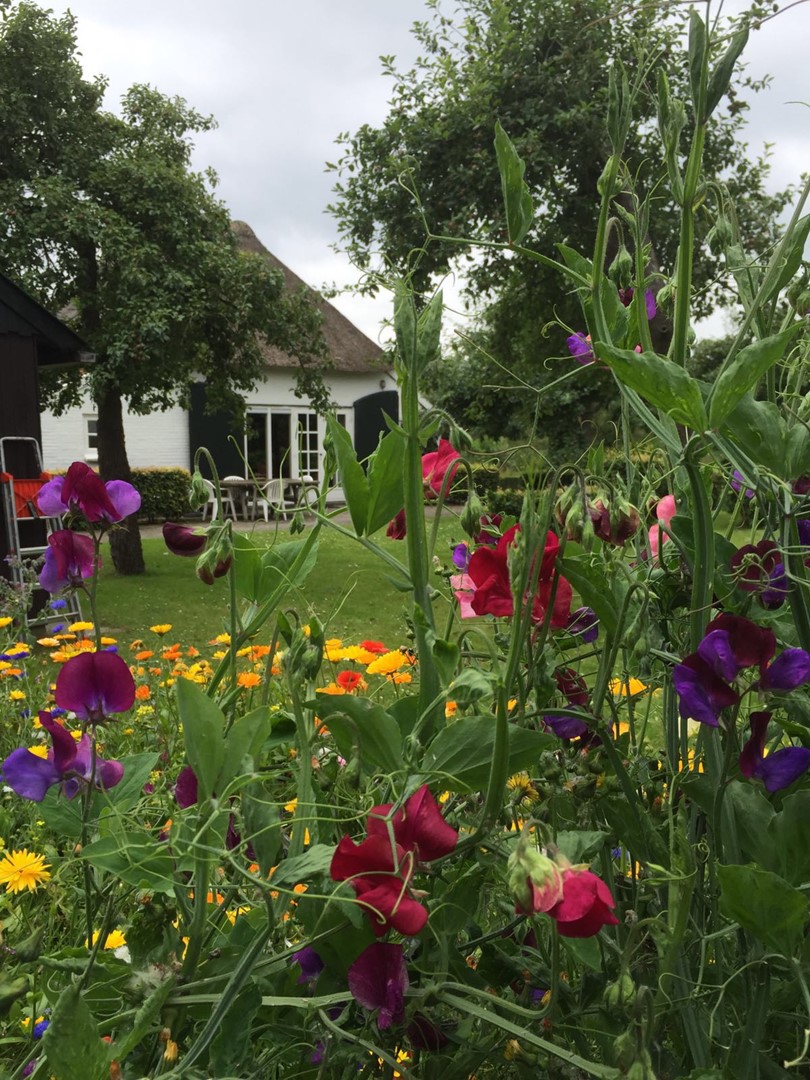 De pluktuin bij het familiehuis van Carlein.
