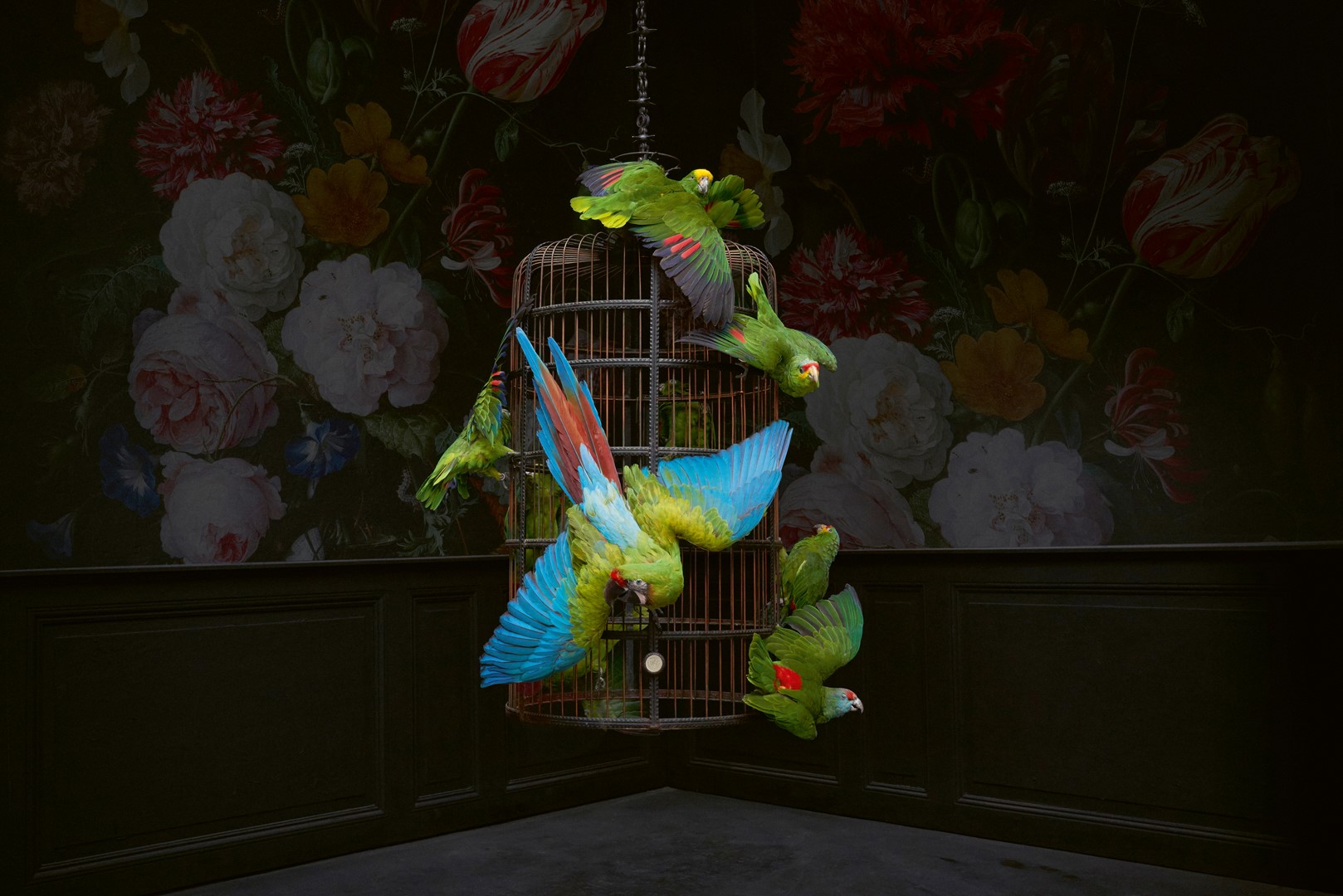 Kunstwerk Un vol vert. Fotografie Joshua Pinheiro Ferreira en Darwin, Sinke & Van Tongeren