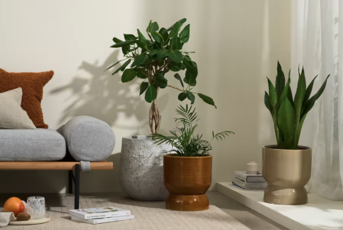 MADE – SET VAN 2 SIERPOTTEN